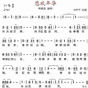 悲欢年华_歌谱投稿