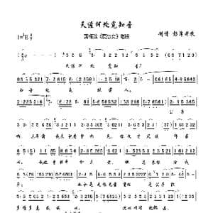 天涯何处觅知音_歌曲简谱_词曲:未知 未知