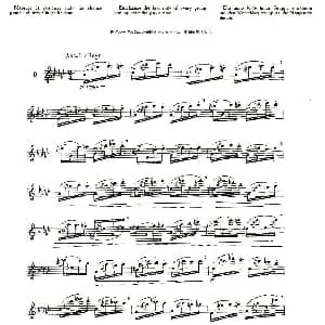 长笛曲谱 | 12首大技巧练习曲之9 Moyse 莫伊斯