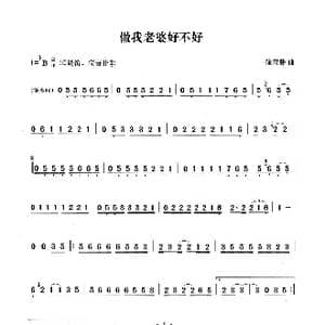 做我老婆好不好_歌曲简谱_词曲: 徐誊滕