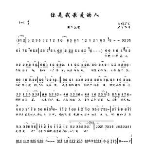 你是我最爱的人_歌曲简谱_词曲:高明军 黄传军
