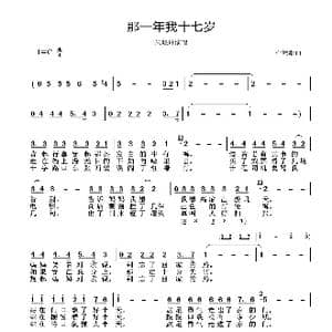 那一年我十七岁_歌谱投稿