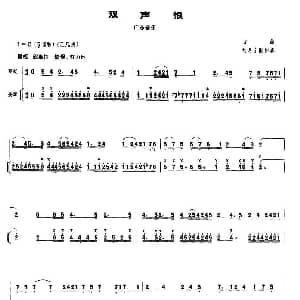 二胡谱 | 双声恨 扬琴伴奏谱 古曲 杨月宁配伴奏