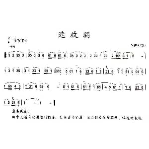 葫芦丝谱 | 遮放调