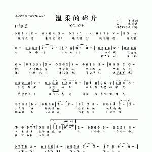 温柔的碎片_歌曲简谱_词曲:伊宁 株株