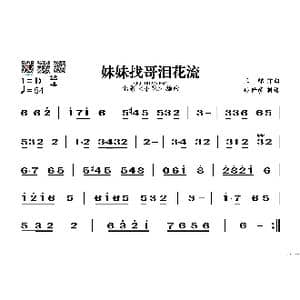 妹妹找哥泪花流_歌谱投稿_词曲: 王酩