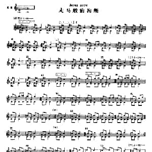 走马般的狗熊 冬不拉