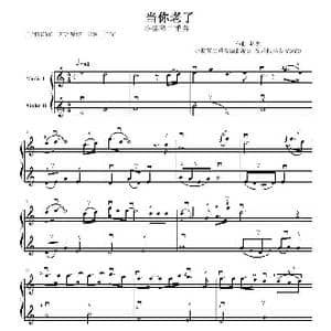 当你老了 _歌曲简谱_词曲: 赵照