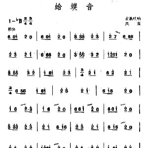 蛤蟆音 苗族唢呐