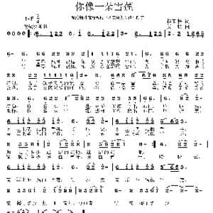 你像一朵雪莲_歌曲简谱_词曲:赵玉柱 姜振