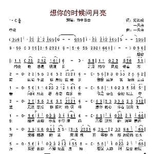 想你的时候问月亮_歌曲简谱_词曲:党明毅&一只舟 一只舟