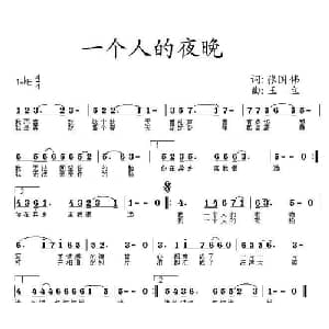 一个人的夜晚_通俗唱法乐谱_词曲:张国伟 王立