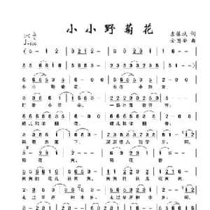 小小野菊花_民歌简谱_词曲:左保斌 金国安