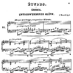 Douze Etudes de Salon Op.5 钢琴谱 阿道夫 冯 亨赛尔特