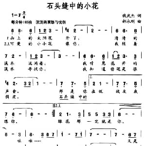 石头缝中的小花_通俗唱法乐谱_词曲:钱武杰 郝永刚