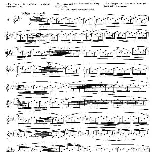 长笛曲谱 | 12首大技巧练习曲之6 Moyse 莫伊斯