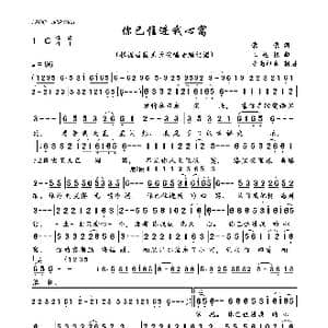 你已住进我心窝_歌曲简谱_词曲:荣荣 王德栋