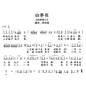 敦煌曲子戏 山茶花 冯爷娶小 林母 林女唱段