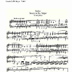 Sonata in Bb Major D.960 钢琴谱