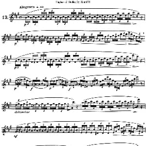 长笛曲谱 | 胡埃斯24首长笛练习曲Op.32 NO.13 胡埃斯