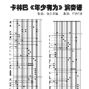 年少有为 拇指琴卡林巴琴演奏谱 李荣浩 李荣浩