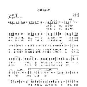 珍藏的记忆_歌曲简谱_词曲:袁龙 袁龙