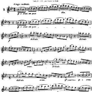 长笛曲谱 | 三十首基础及提高练习曲 NO.9 Garibold 加里波第