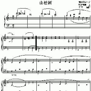 山楂树 钢琴谱
