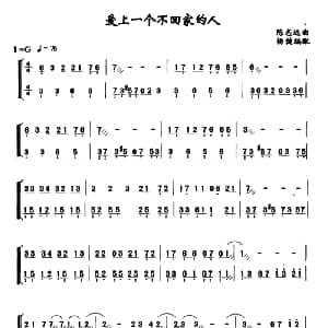 扬琴谱 | 爱上一个不回家的人 陈志远曲 杨健