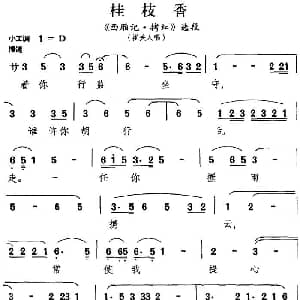 昆曲 桂枝香 西厢记 拷红 选段 崔夫人唱段