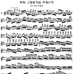长笛曲谱 | 柯勒长笛练习曲作品33号 第三册 5 埃内斯托 柯勒 ERNESTO KOEHLER