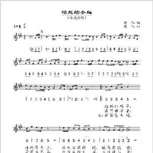 愤怒的小鸟_歌谱投稿_词曲:陈伟 陈伟