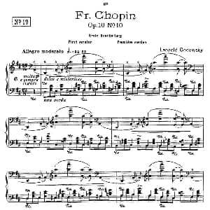 肖邦 练习曲 Fr.Chopin Op.10 No10 1 钢琴谱 Godowsky改编