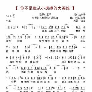 你不是我从小想嫁的大英雄_歌曲简谱_词曲:沈永峰 林海 范炜