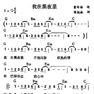我在黑夜里_通俗唱法乐谱_词曲:陈桂珠 童安格