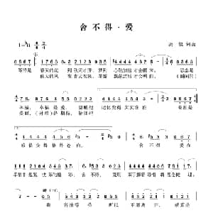 舍不得 爱_通俗唱法乐谱_词曲:洪凯 洪凯
