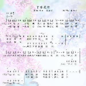 丁香花开_歌谱投稿_词曲:五谷子 五谷子