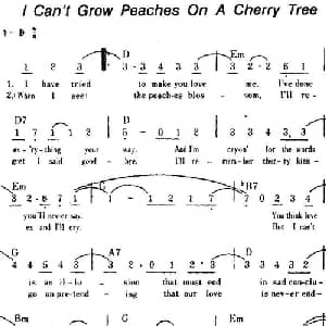 I Can't Grow Peaches On A Cherry Tree 美国 _外国歌谱