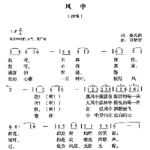 风中_通俗唱法乐谱_词曲:秦凤岗 田智宏