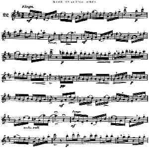 长笛曲谱 | 三十首基础及提高练习曲 NO.22 Garibold 加里波第