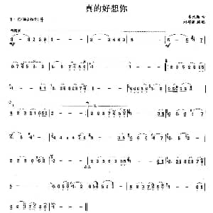 笛子谱 | 真的好想你 李汉颖