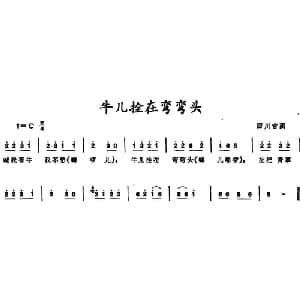 牛儿拴在弯弯头 _儿歌乐谱