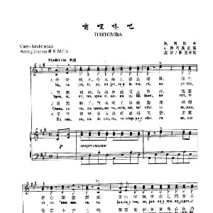 ​16嘀哩咚吧 意大利 _外国歌谱_词曲: 意大利民歌