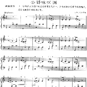 手风琴谱 | 公爵咏叹调