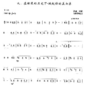 在银色的月光下—掀起你的盖头来 箫独奏曲 新疆民歌 刘群强编曲