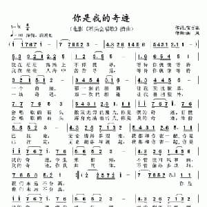 你是我的奇迹_通俗唱法乐谱_词曲:安百花 南风