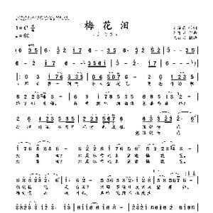 梅花泪_歌曲简谱_词曲:刘海东 刘亦敏