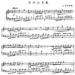 手风琴谱 | 奔驰的雪橇 日 白石道