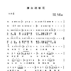 那朵相思花_歌曲简谱_词曲:金 韵 快乐好歌