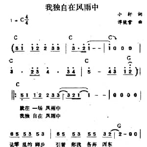 我独自在风雨中_通俗唱法乐谱_词曲:小轩 谭健常